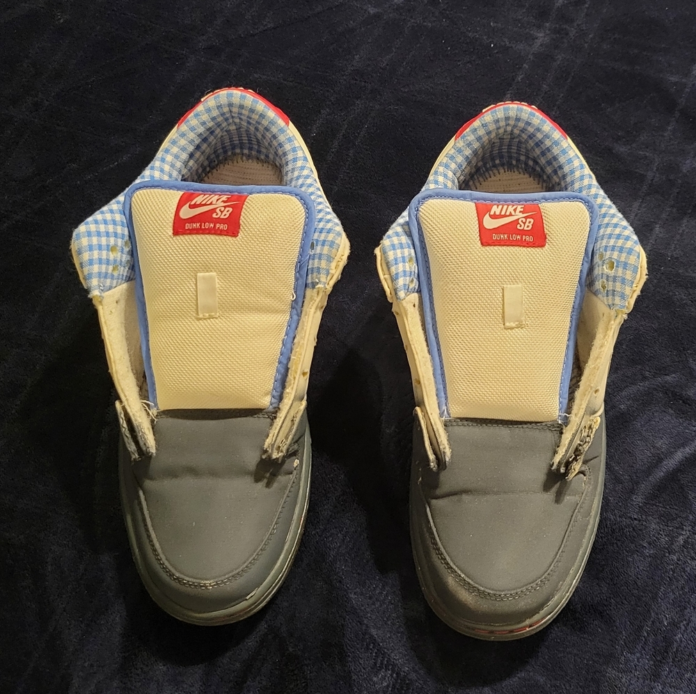 Nike dunk low premium sb 'dorothy'
